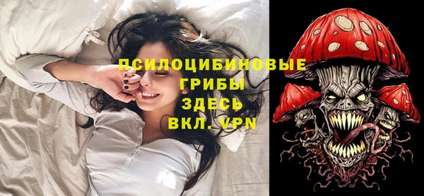 амф Вязьма