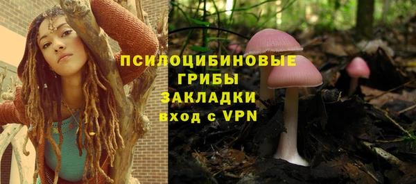 стаф Волоколамск