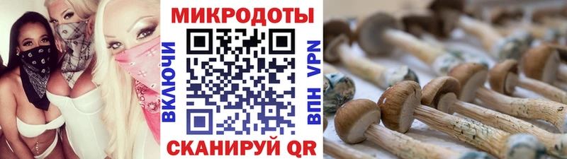 закладка  hydra ссылка  Галлюциногенные грибы GOLDEN TEACHER  Серпухов 