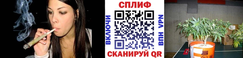 Бошки марихуана Bruce Banner Серпухов